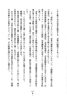 しゅごにん！ -守護忍- くのいちパラダイス, 日本語