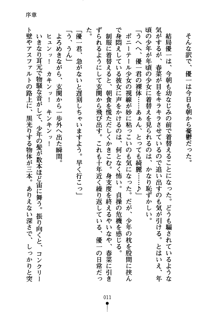 しゅごにん！ -守護忍- くのいちパラダイス, 日本語