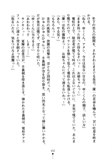 しゅごにん！ -守護忍- くのいちパラダイス, 日本語