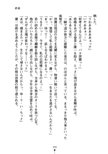 しゅごにん！ -守護忍- くのいちパラダイス, 日本語