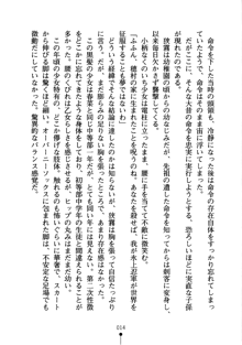 しゅごにん！ -守護忍- くのいちパラダイス, 日本語