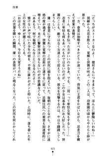 しゅごにん！ -守護忍- くのいちパラダイス, 日本語