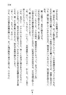 しゅごにん！ -守護忍- くのいちパラダイス, 日本語