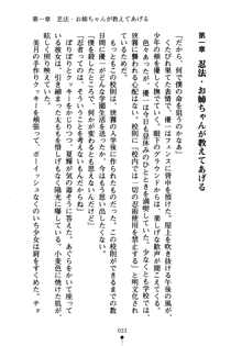 しゅごにん！ -守護忍- くのいちパラダイス, 日本語