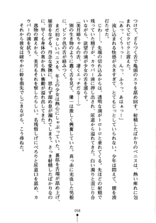 しゅごにん！ -守護忍- くのいちパラダイス, 日本語