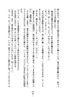 しゅごにん！ -守護忍- くのいちパラダイス, 日本語