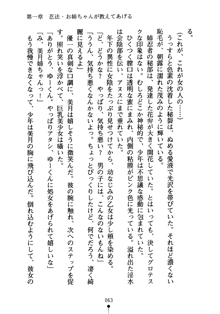 しゅごにん！ -守護忍- くのいちパラダイス, 日本語