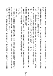 しゅごにん！ -守護忍- くのいちパラダイス, 日本語