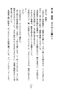 しゅごにん！ -守護忍- くのいちパラダイス, 日本語