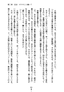 しゅごにん！ -守護忍- くのいちパラダイス, 日本語