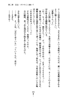 しゅごにん！ -守護忍- くのいちパラダイス, 日本語