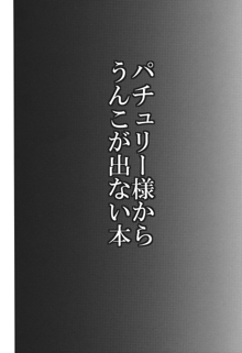 パチュリー様からうんこが出ない本, 日本語