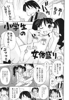 はだいろりーた, 日本語