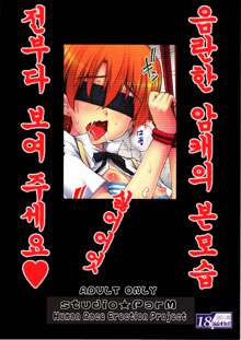 PM26 - Tadashii Pet no Tsukurikata 2 ~Gekan~, 한국어