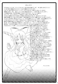 To Aru Suika no Shuchi Nikurin, 中文