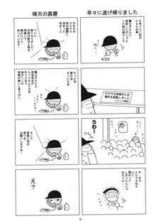 風の妖精 2, 日本語