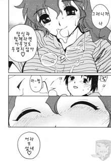 Tokimeki Ecchi, 한국어