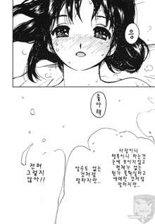 Tokimeki Ecchi, 한국어