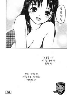 Tokimeki Ecchi, 한국어