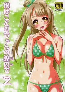 Boku wa Kotori-chan no Naka de 2, 中文