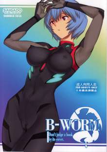 B-WORM, 中文