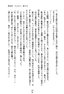 恋にて候！ 風雲戦姫伝, 日本語