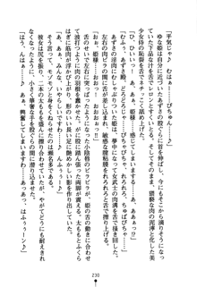 恋にて候！ 風雲戦姫伝, 日本語