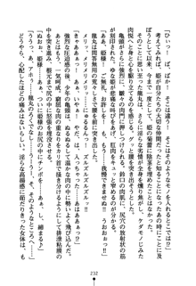 恋にて候！ 風雲戦姫伝, 日本語