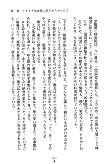 恋にて候！ 風雲戦姫伝, 日本語