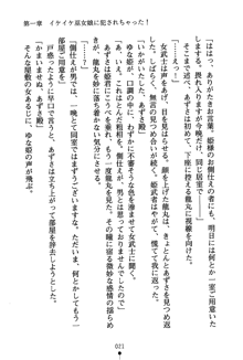 恋にて候！ 風雲戦姫伝, 日本語