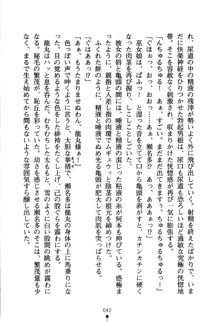 恋にて候！ 風雲戦姫伝, 日本語