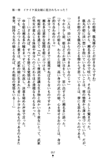 恋にて候！ 風雲戦姫伝, 日本語