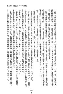 恋にて候！ 風雲戦姫伝, 日本語