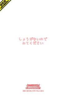 しょうがないのでみてください, 日本語