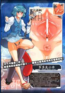 Touhou Inburoku ex, 中文