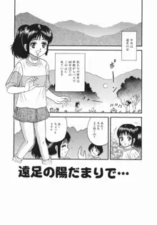 強姦犯罪, 日本語