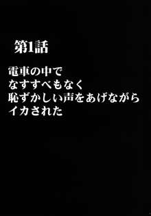 ヴァージントレインII 第1部 小悪魔制裁, 日本語