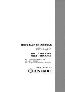 魔理沙が面倒くさかったので犯した, 日本語