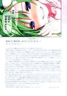 KICHIKU MIKO SANAE ToHo Seirensen Kouryakuhon, 中文