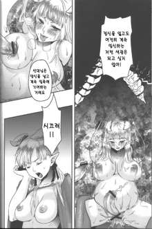 Hime Ouji-sama wa Harami-goro, 한국어