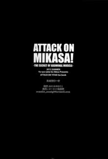 ATTACK ON MIKASA, 中文