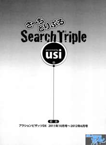 Search Triple, 中文