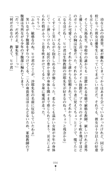 とりぷるレッスン！ かてきょとセンセといいんちょ, 日本語