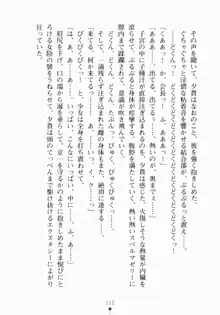 ご主人さまでしょ！ ツン会長のメイド奮闘記, 日本語