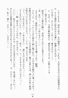 ご主人さまでしょ！ ツン会長のメイド奮闘記, 日本語