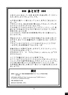 ナミの裏航海日誌, 日本語