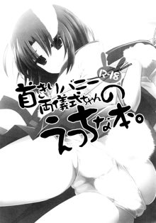 Kubi-kiri Bunny Ryougi Shiki-chan no Ecchi na Hon., 中文