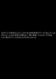 ソリッド・アート・ラビリンス3, 日本語