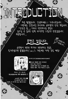 UMA report 001, 한국어