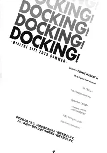 DOCKING!, 中文